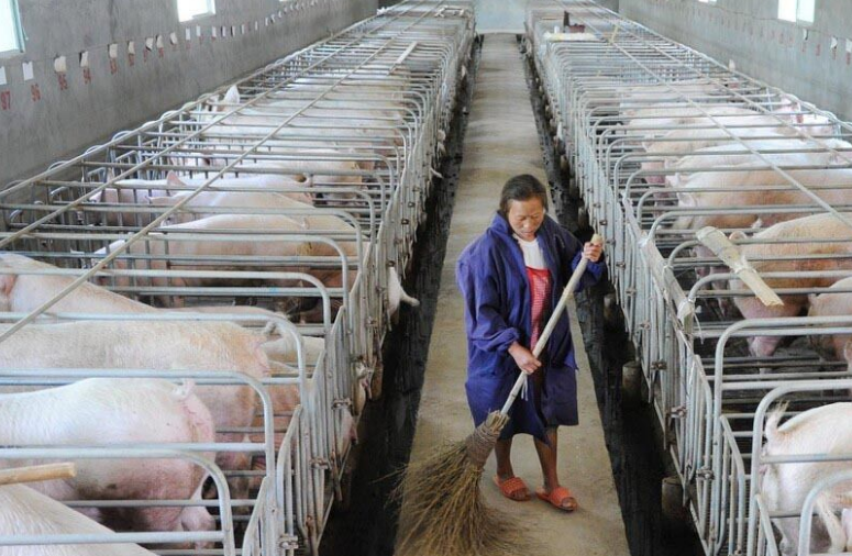 畜牧污水處理設(shè)備哪家好，養(yǎng)殖污水處理設(shè)備哪家好